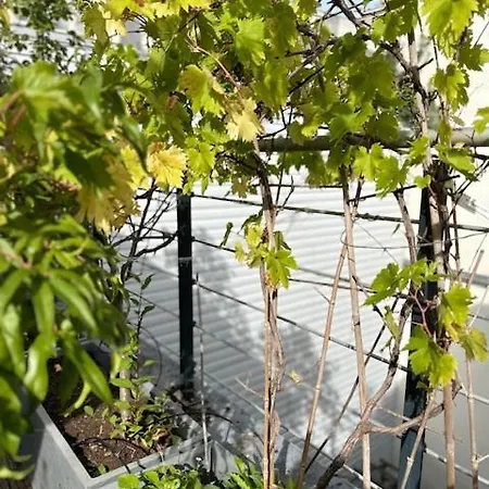 Apartment 150m2 Terrasse Zen